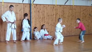 TRsVM Kum 5 3 16_30.