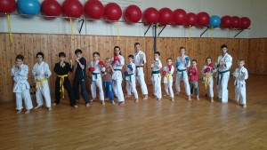 Uvod_kumite