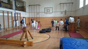 VMez4_2016-1