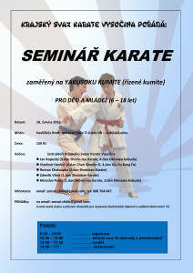 Seminar HBrod -yakusoku kumite 2016-06-18