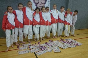 Kodomo2017-team_med
